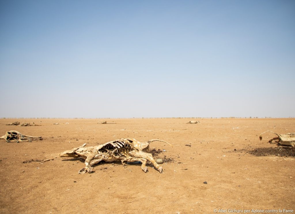 Stagione della fame in Sahel