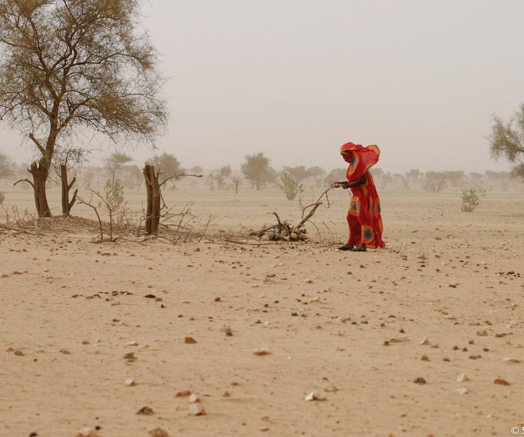 La stagione della fame in Sahel