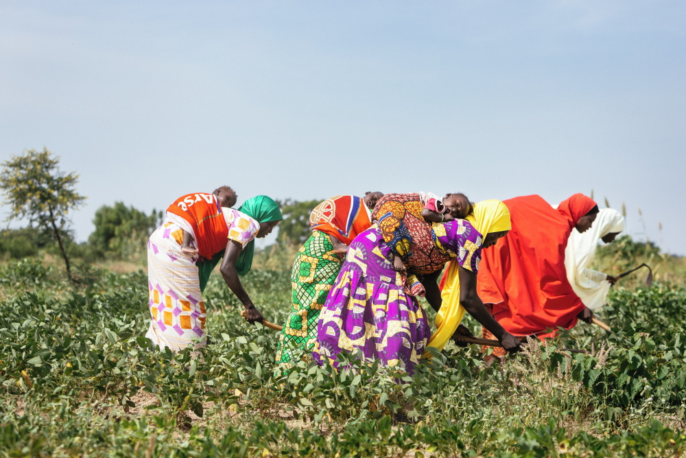 Orti giardino in Nigeria - Agroecologia supporto per le madri