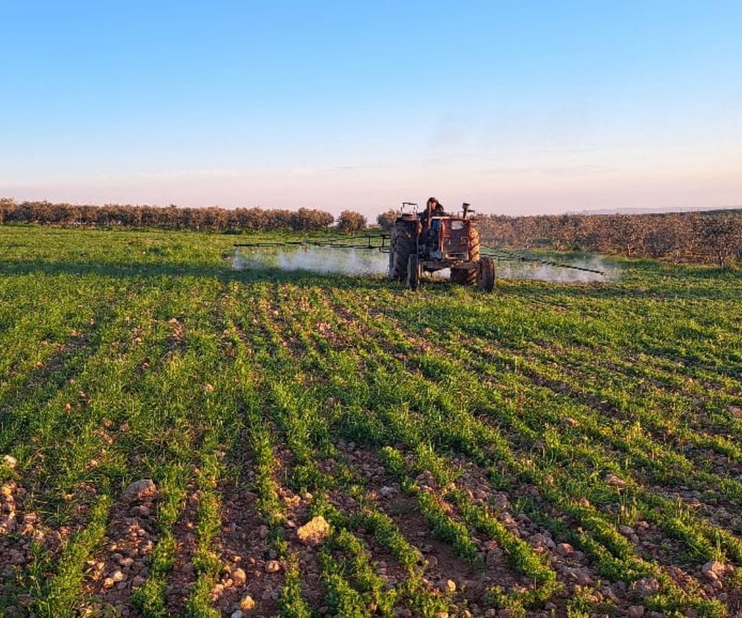 Agricoltura sostenibile in Siria