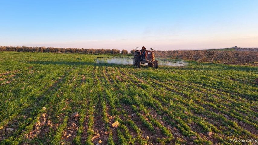 Agricoltura sostenibile in Siria