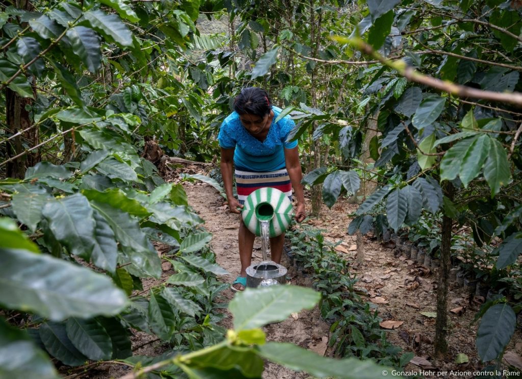 Donna in Guatemala che cura alberi per riforestazione