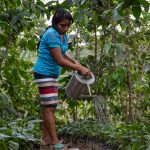 donna guatemalteca che pianta alberi per riforestazione