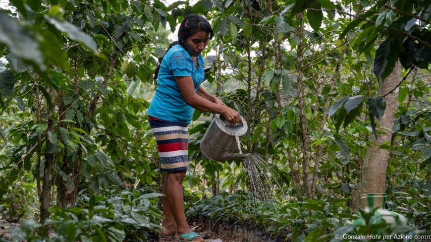 donna guatemalteca che pianta alberi per riforestazione