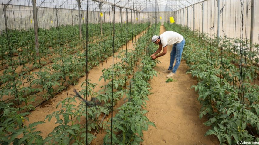 Agricoltori a Gaza