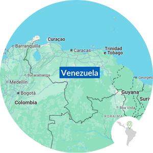 mappa venezuela