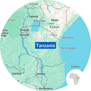 mappa tanzania