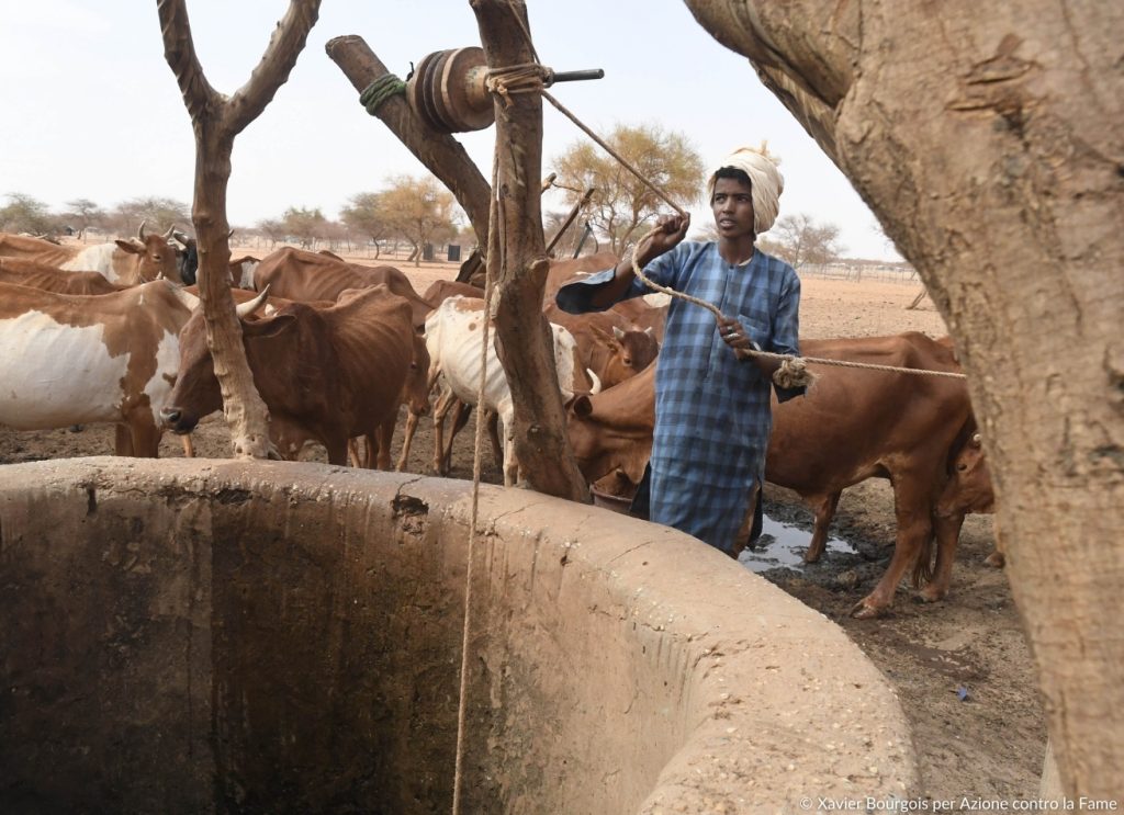 Animali da allevamento in Mali