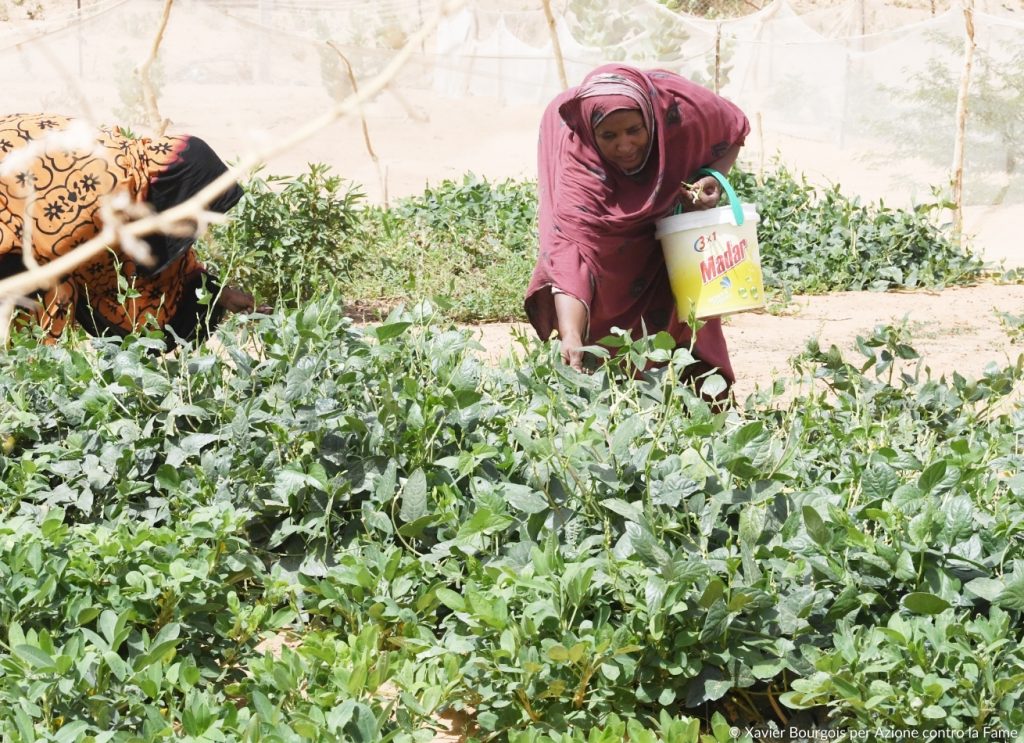 Donna che cura l'orto in Mali