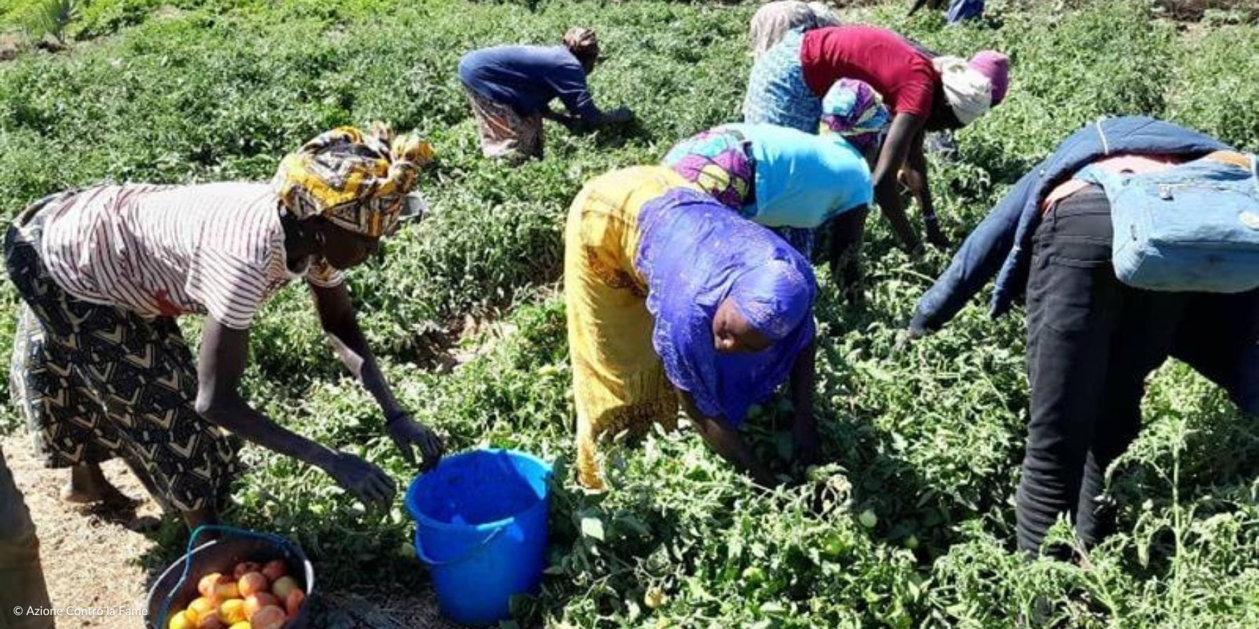 Progetto sicurezza alimentare Camerun